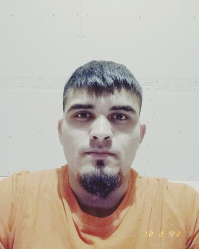 ,   Salmon, 29 ,   ,   