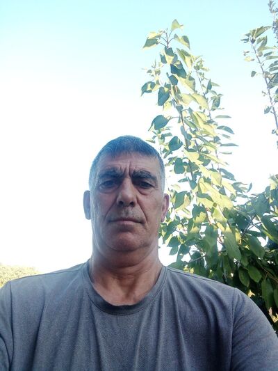  ,   Zamir, 55 ,   ,   