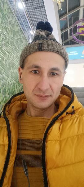   ,     , 33 ,   ,   