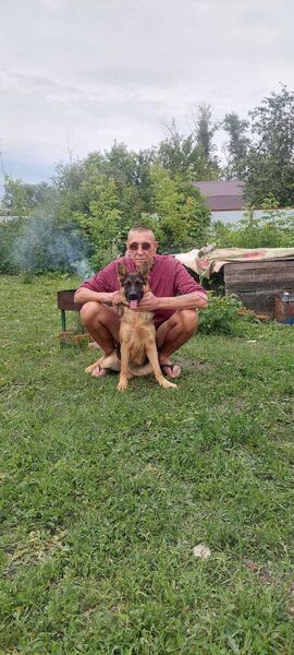  ,   , 48 ,  