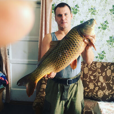  --,   , 45 ,   ,   