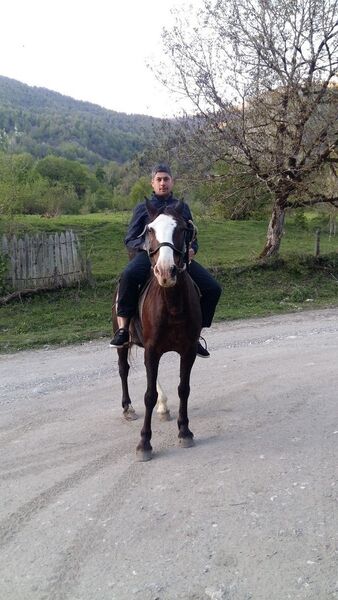  ,   Sixa, 36 ,   ,   , c 