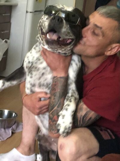  -,   , 42 ,     , c , 