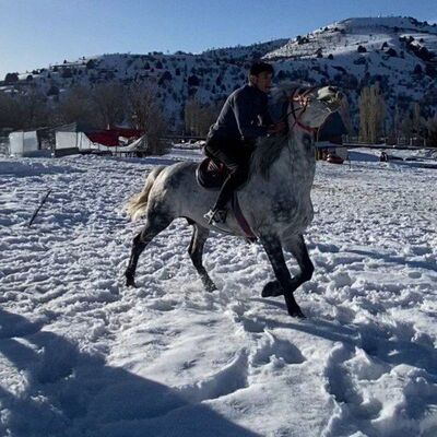  ,   Yoqubjon, 30 ,   ,   