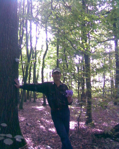  ,   Miha, 57 ,   ,   , c 