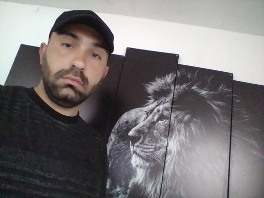  ,   , 33 ,     