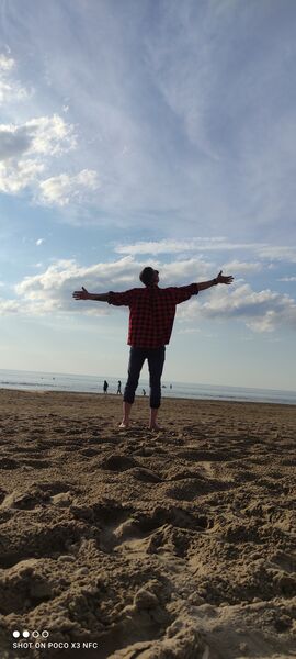  ,   Alexander, 31 ,   ,   , c , 