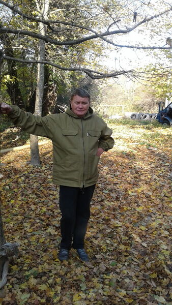  ,   , 53 ,   