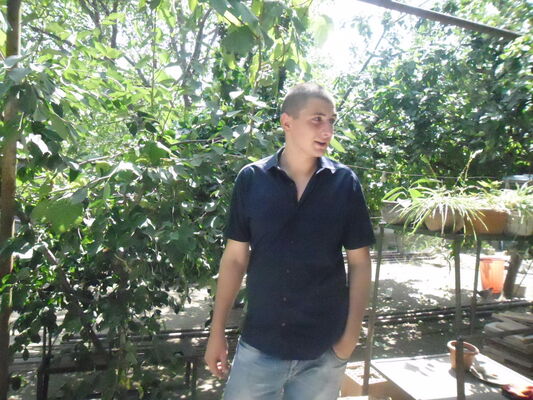  ,   Tazo, 32 ,   ,   , c 