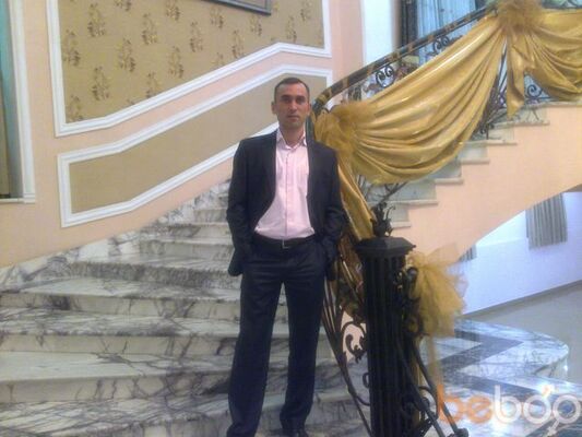  ,   ANAR81, 43 ,   