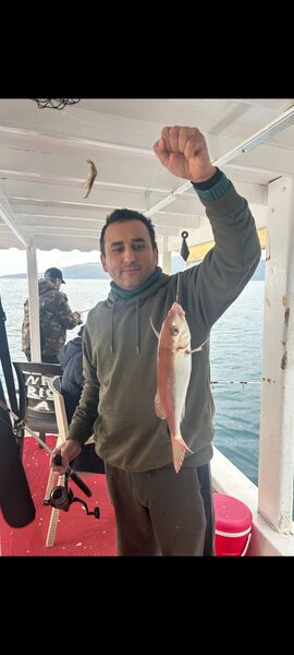  ,   Kemal, 43 ,   ,   