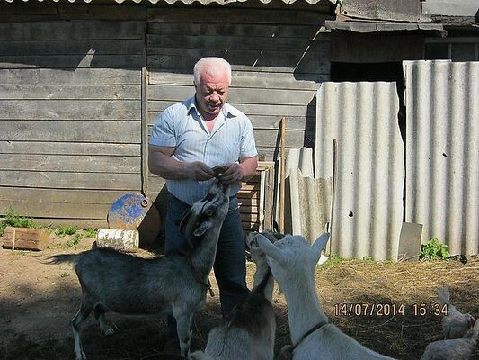  ,   , 66 ,   ,   , c 