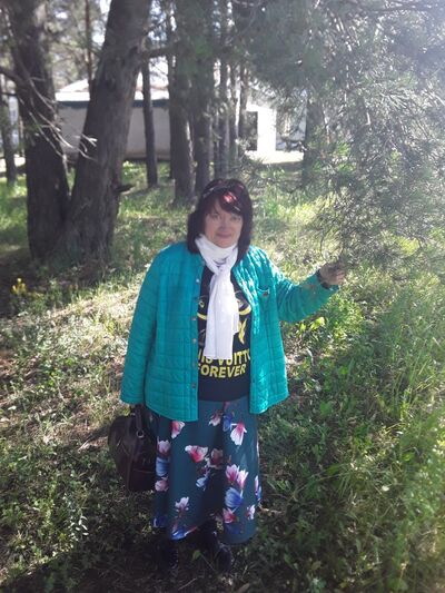   ,   , 66 ,   ,   