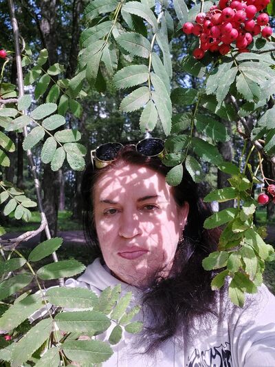  ,   , 52 ,   c 