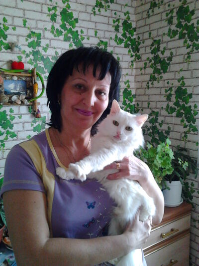  ,   , 63 ,   ,   , c 