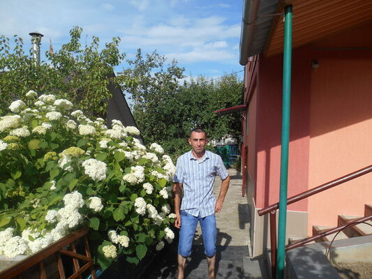  ,   , 43 ,   
