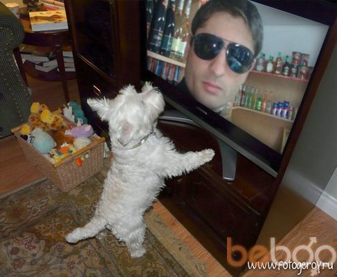  ,   Maks, 49 ,   