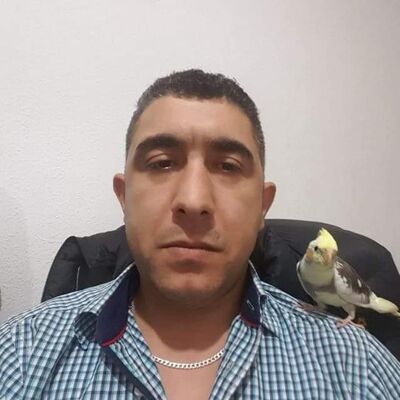  Harstad,   , 33 ,     , c 