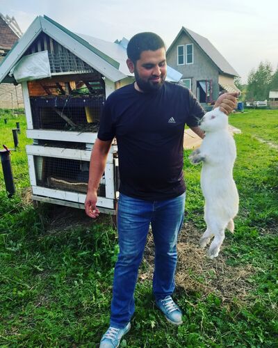   ,   Bekzod, 31 ,   ,   