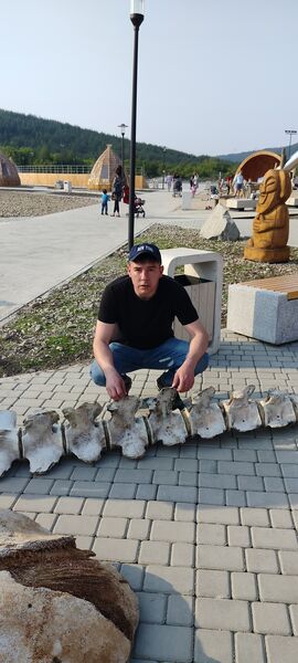  ,   , 41 ,   ,   , c , 