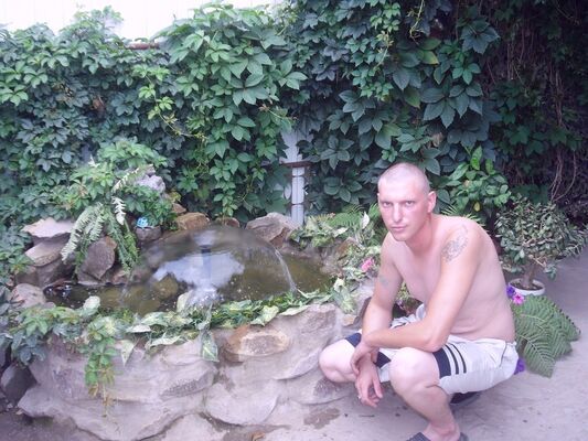  ,   , 40 ,  