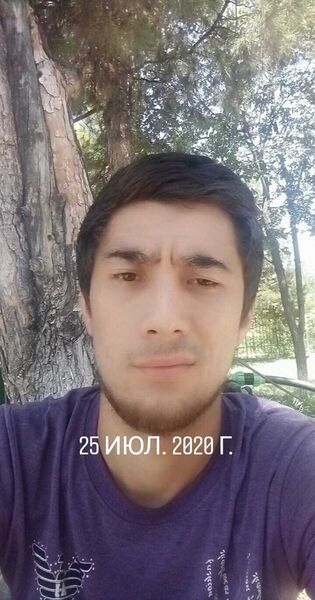  ,   Shox, 29 ,   ,   , c 