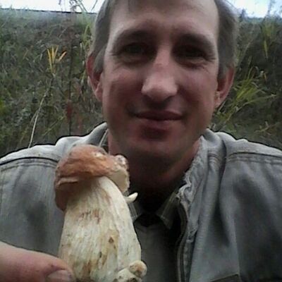  ,   , 46 ,   
