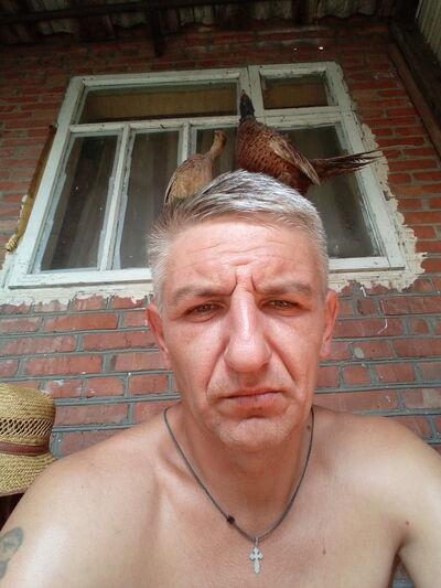  --,   , 47 ,   ,   