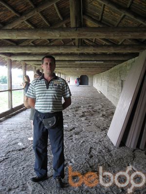  3174731  , 52 ,    -