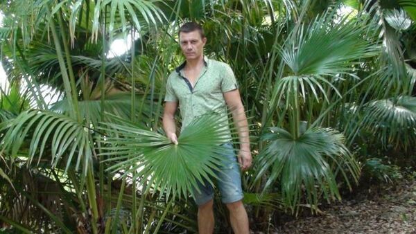  ,   IGOR, 43 ,     , c 