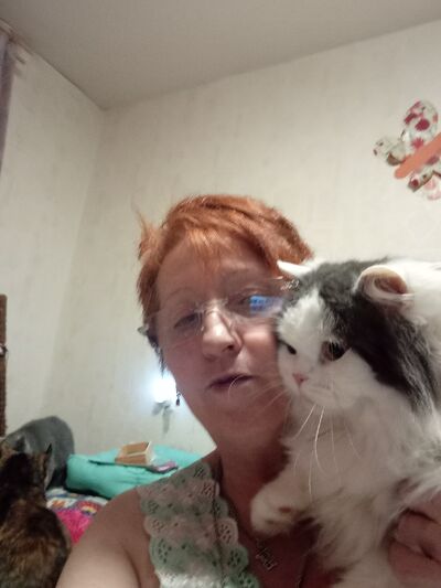  ,   , 66 ,     , c , 
