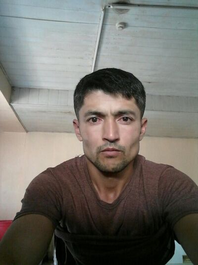  ,   Ilxombek, 41 ,     , c 