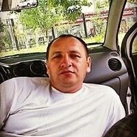  ,   Xamid, 51 ,   ,   , c 