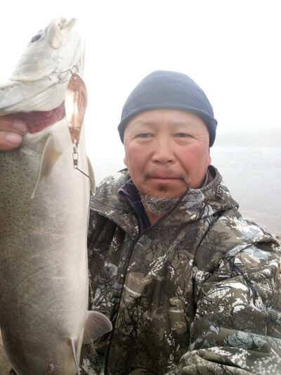  -,   , 54 ,   ,   , c 