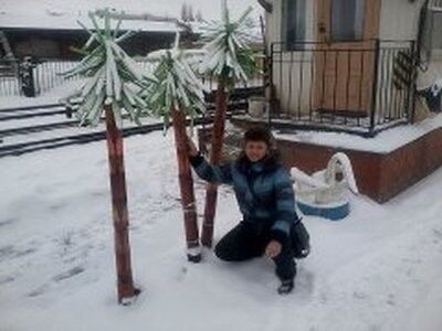 ���������� ��������, ���� ������� ���, 65 ���, ������������ ��� ������, ����� � ���������, c�������� ���������