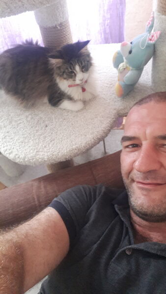  ,   , 40 ,   ,   