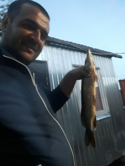  -,   , 38 ,   ,   , c 