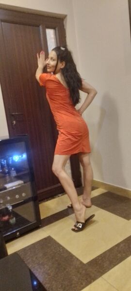  ,   Habdipum rea, 36 ,   ,   