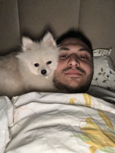  ,   Gokhan, 31 ,     , c 