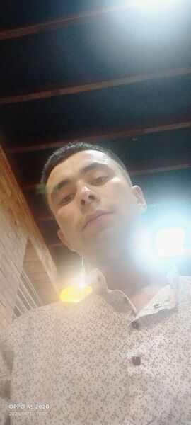  ,   Ali, 29 ,   ,   , c 