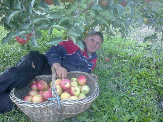  ,   , 41 ,   ,   , c 