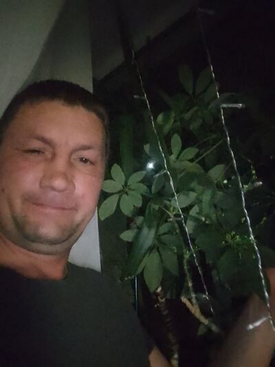  ,   , 49 ,   ,   