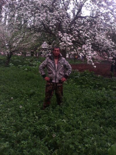  ,   89647486636, 38 ,  
