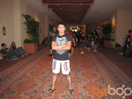  3264481  Demo 123, 40 ,    