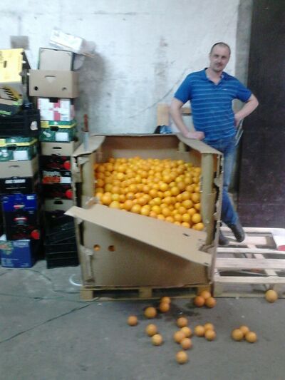  ,   Seroga, 36 ,   ,   , c 
