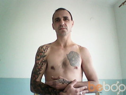  3146831  , 54 ,    