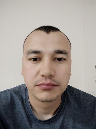  ,   Dima, 40 ,   ,   , c 