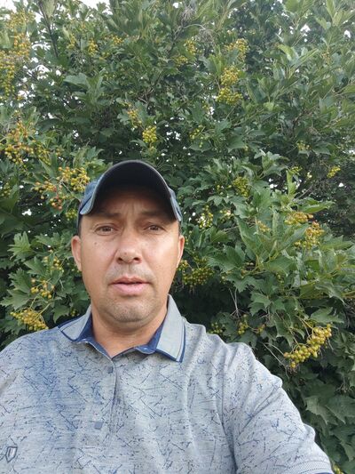  ,   , 48 ,   c 