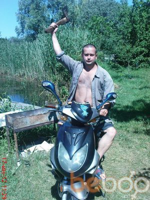  ,   MAXI, 44 ,   ,   , c , 