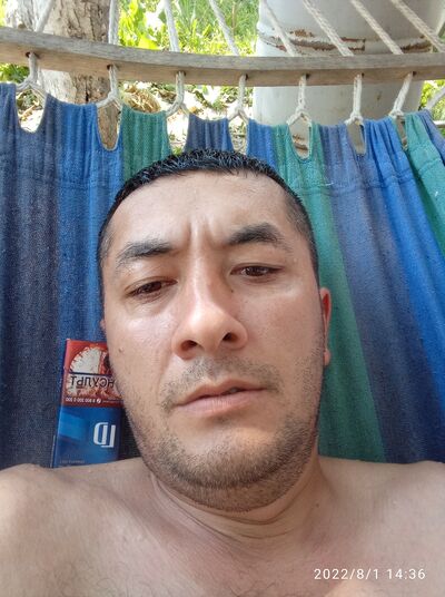  ,   , 37 ,   ,   